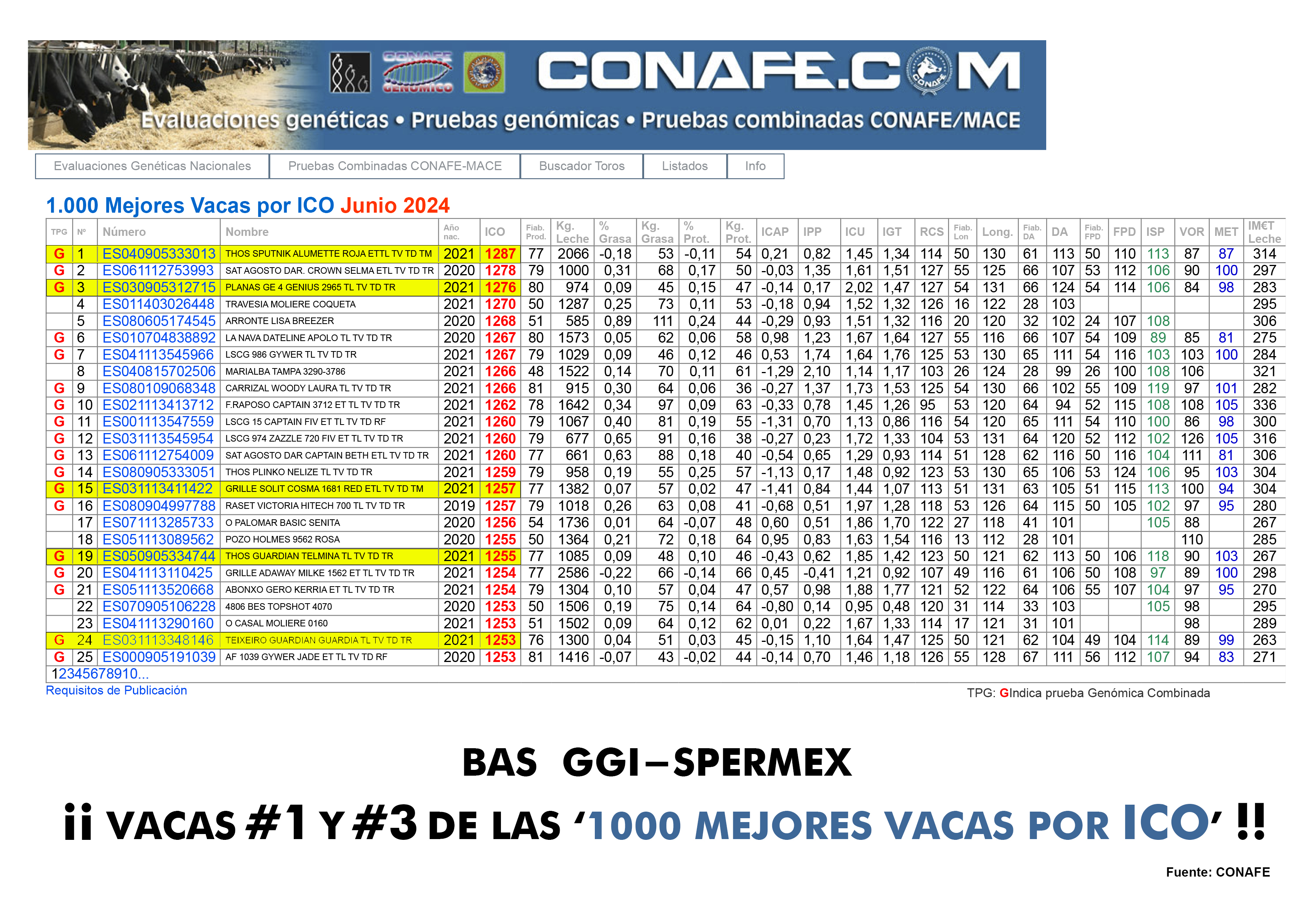 1000 MEJORES VACAS POR ICO